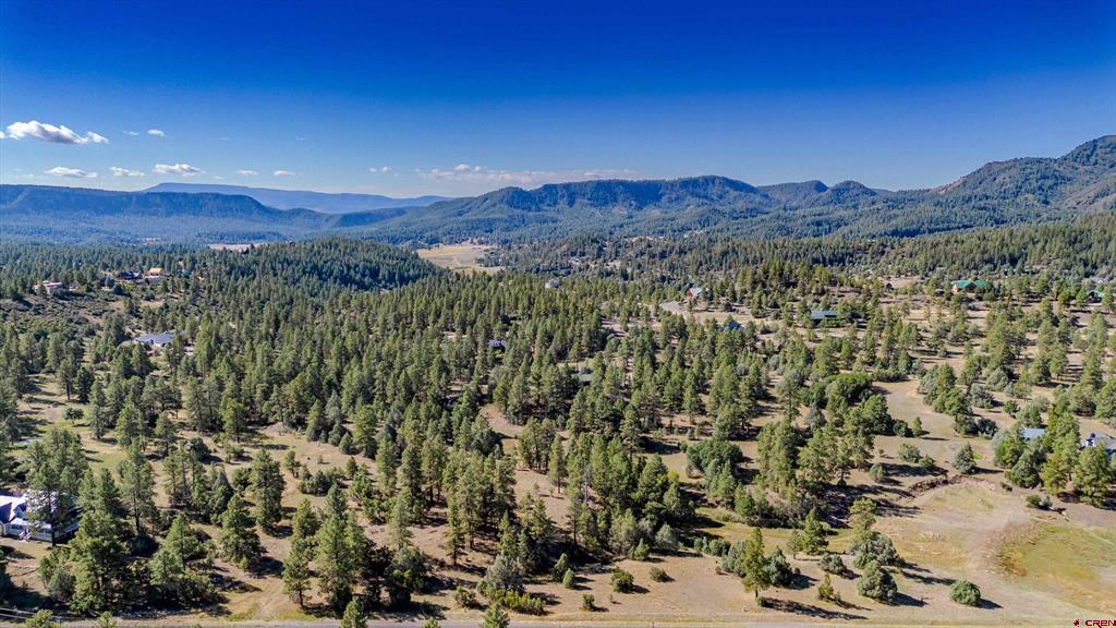 3169 Meadows Drive Pagosa Springs CO 81147