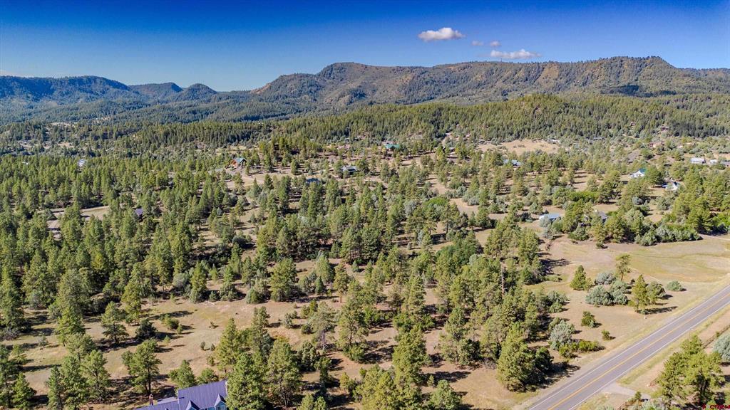 3169 Meadows Drive Pagosa Springs CO 81147