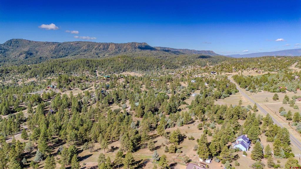 3169 Meadows Drive Pagosa Springs CO 81147