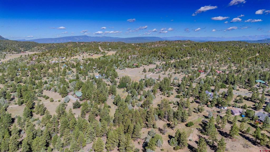 3169 Meadows Drive Pagosa Springs CO 81147