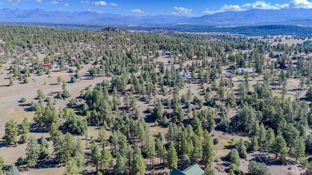 3169 Meadows Drive Pagosa Springs CO 81147