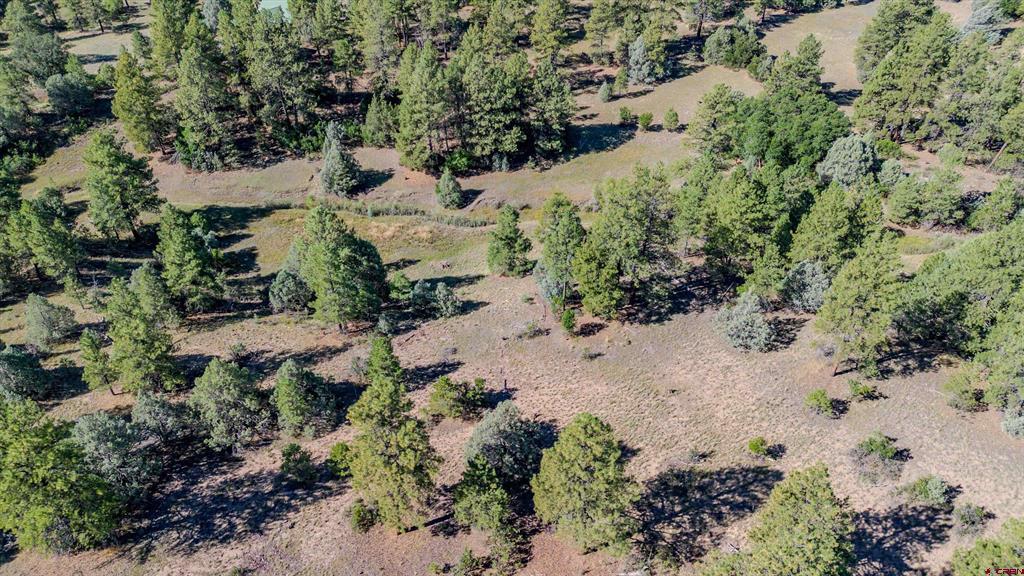 3169 Meadows Drive Pagosa Springs CO 81147