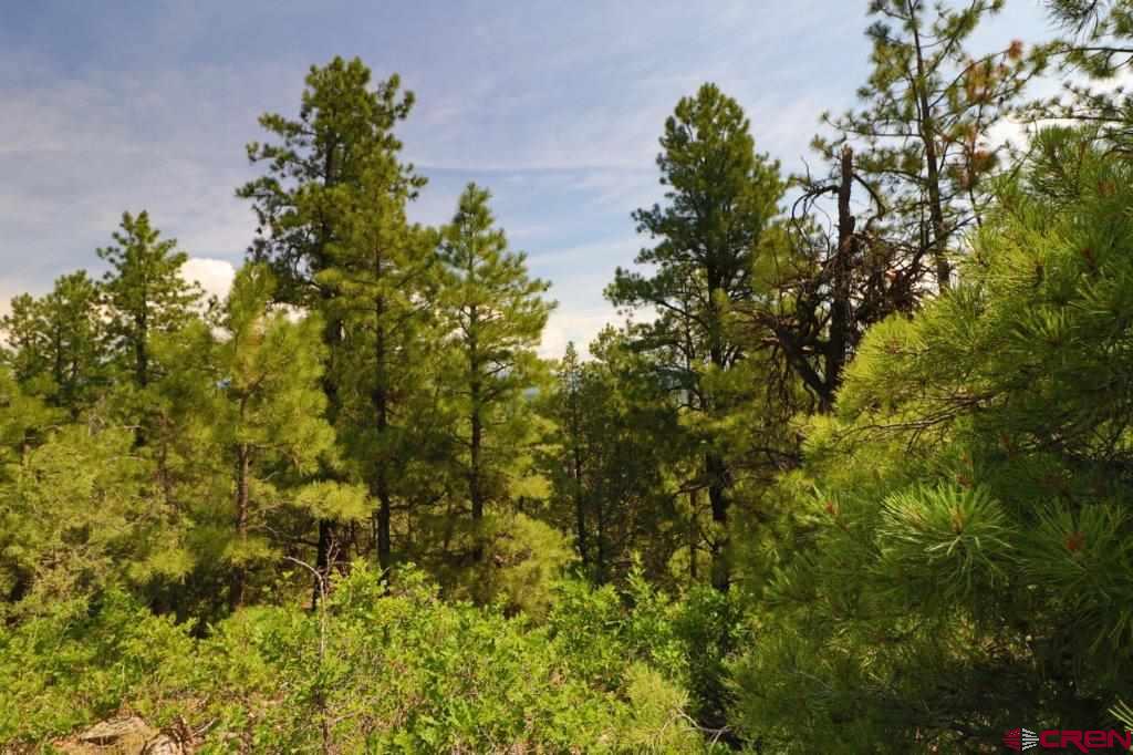 2626 S Pagosa Boulevard Pagosa Springs CO 81147