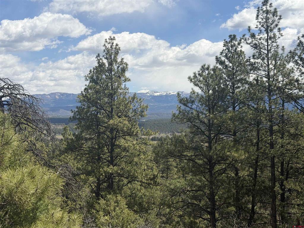2626 S Pagosa Boulevard Pagosa Springs CO 81147