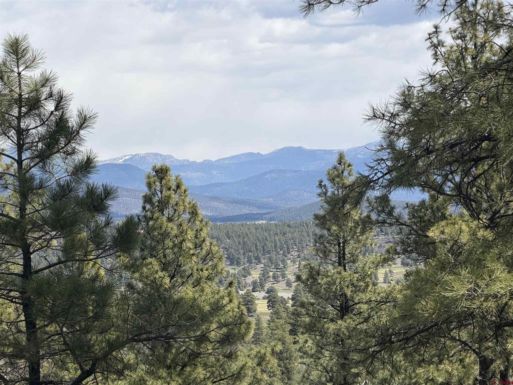 2626 S Pagosa Boulevard Pagosa Springs CO 81147