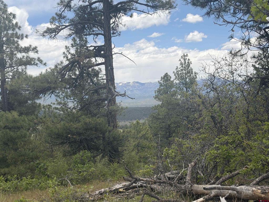 2626 S Pagosa Boulevard Pagosa Springs CO 81147