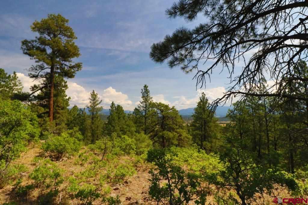 2626 S Pagosa Boulevard Pagosa Springs CO 81147