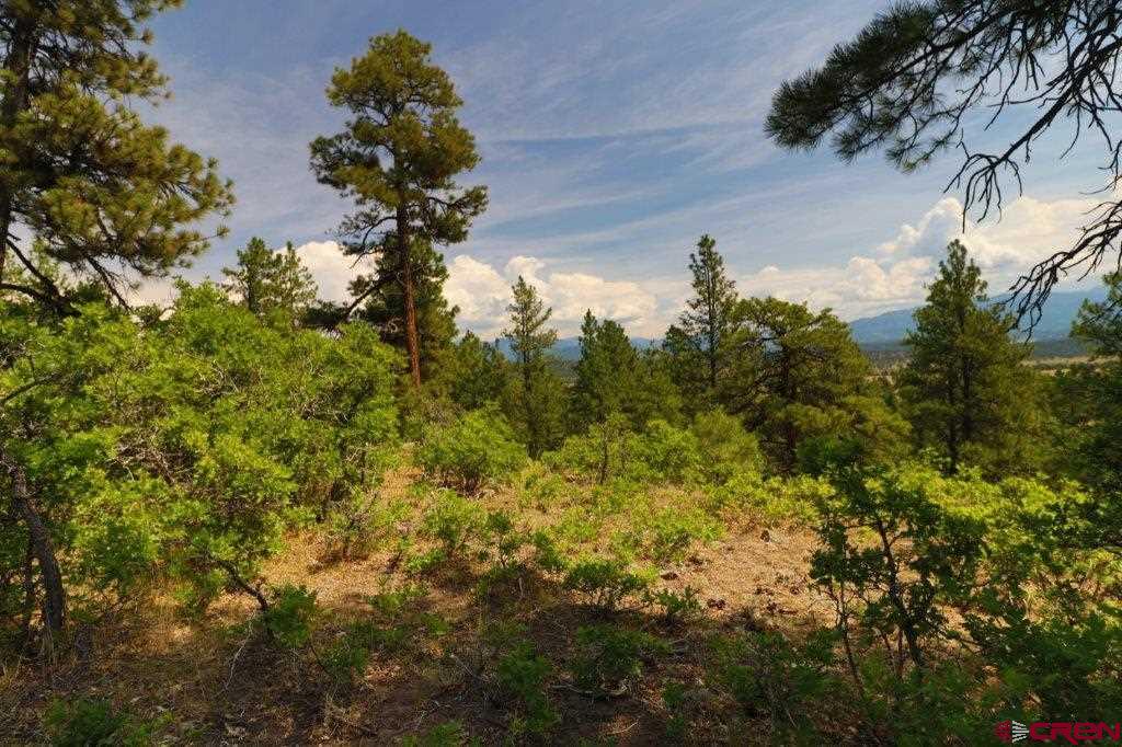 2626 S Pagosa Boulevard Pagosa Springs CO 81147