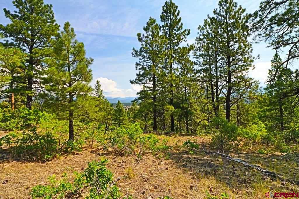 2626 S Pagosa Boulevard Pagosa Springs CO 81147