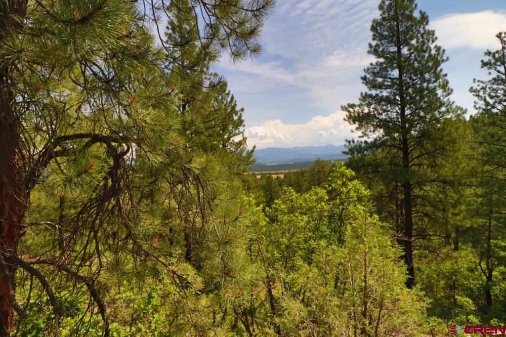2626 S Pagosa Boulevard Pagosa Springs CO 81147