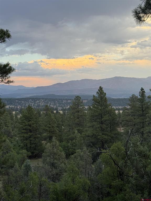 2626 S Pagosa Boulevard Pagosa Springs CO 81147