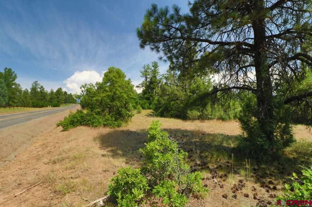 2626 S Pagosa Boulevard Pagosa Springs CO 81147
