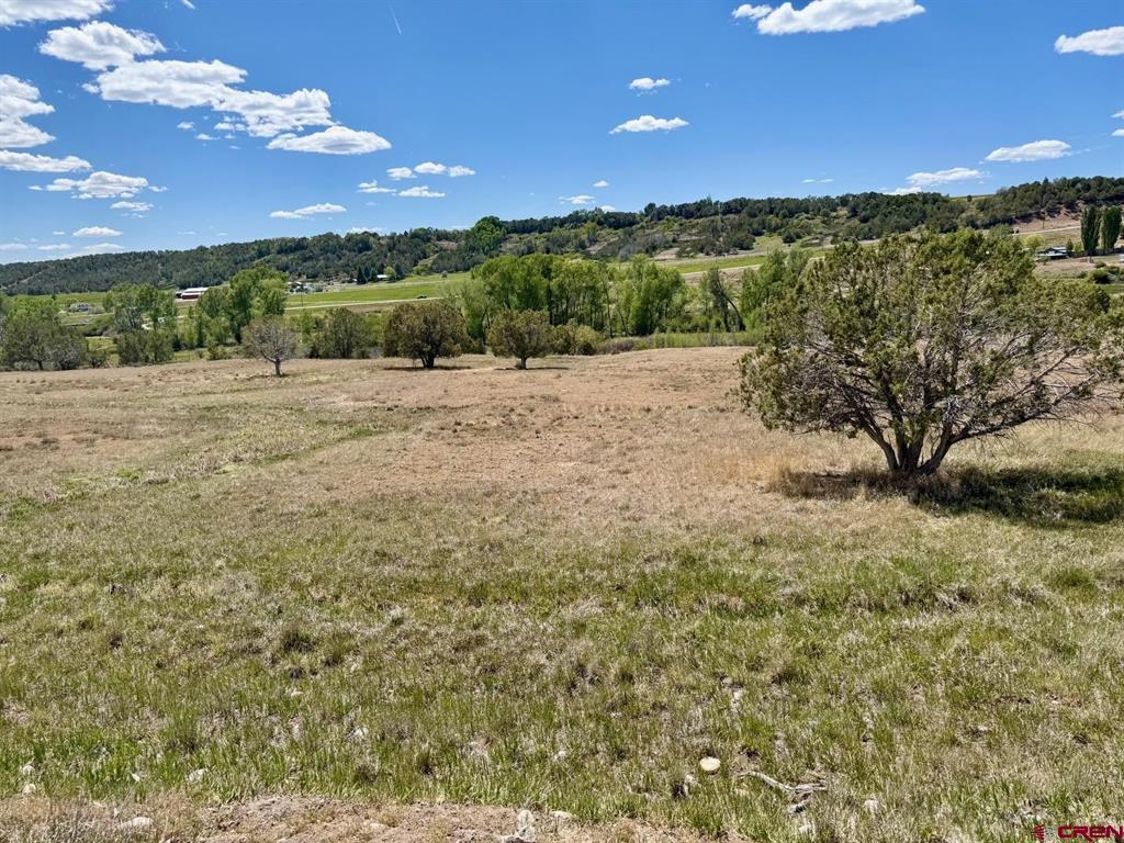 1424 Wrangler Way Durango CO 81303
