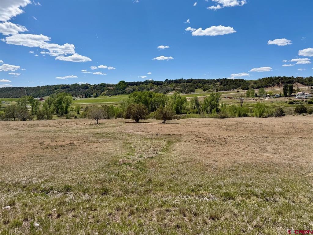 1424 Wrangler Way Durango CO 81303