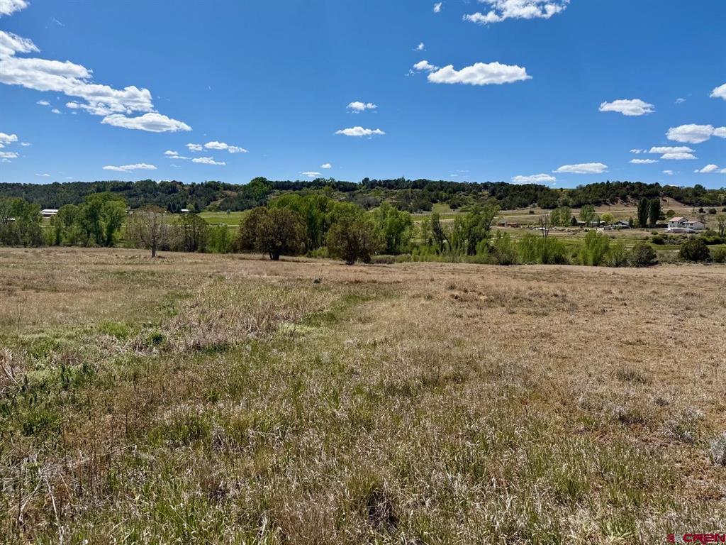 1424 Wrangler Way Durango CO 81303