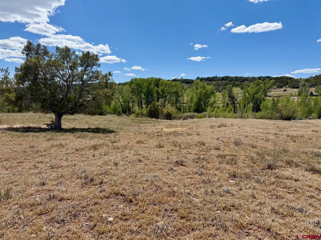1424 Wrangler Way Durango CO 81303
