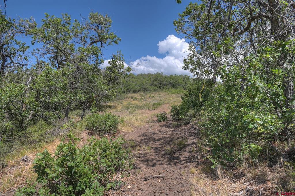 Tbd Cross Creek Road Hesperus CO 81326