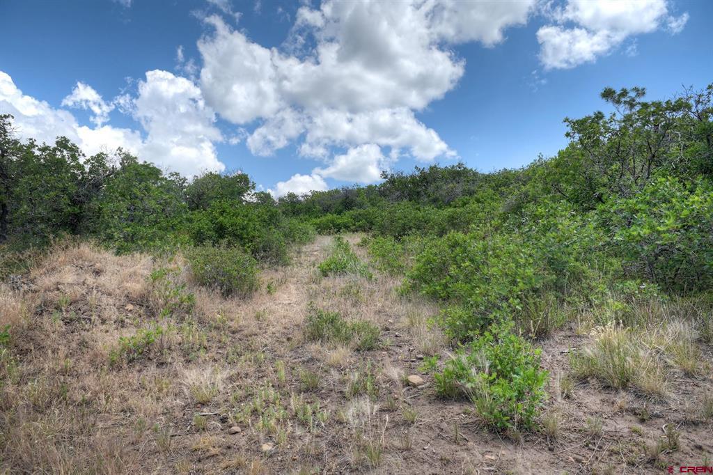 Tbd Cross Creek Road Hesperus CO 81326