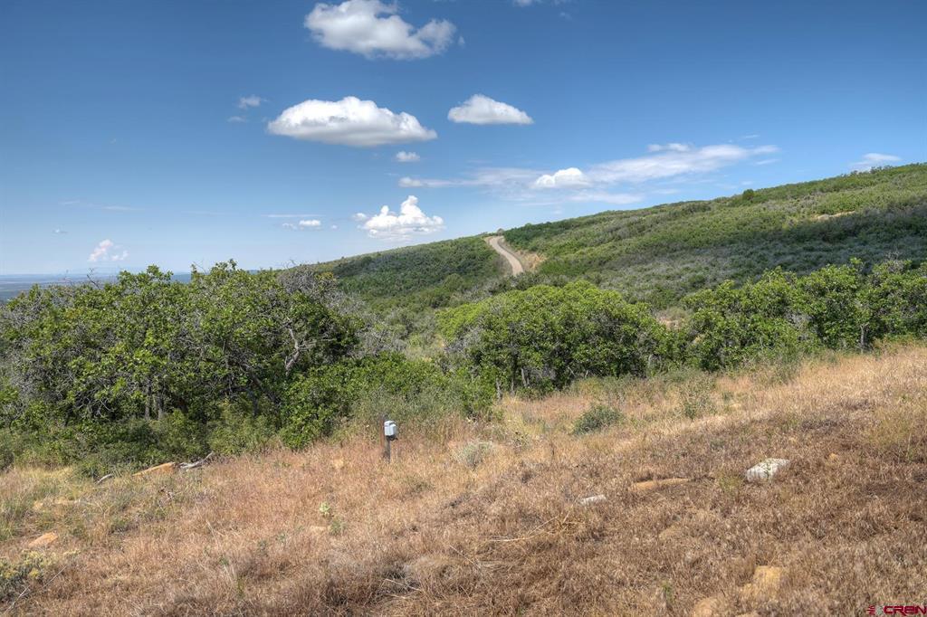 Tbd Cross Creek Road Hesperus CO 81326