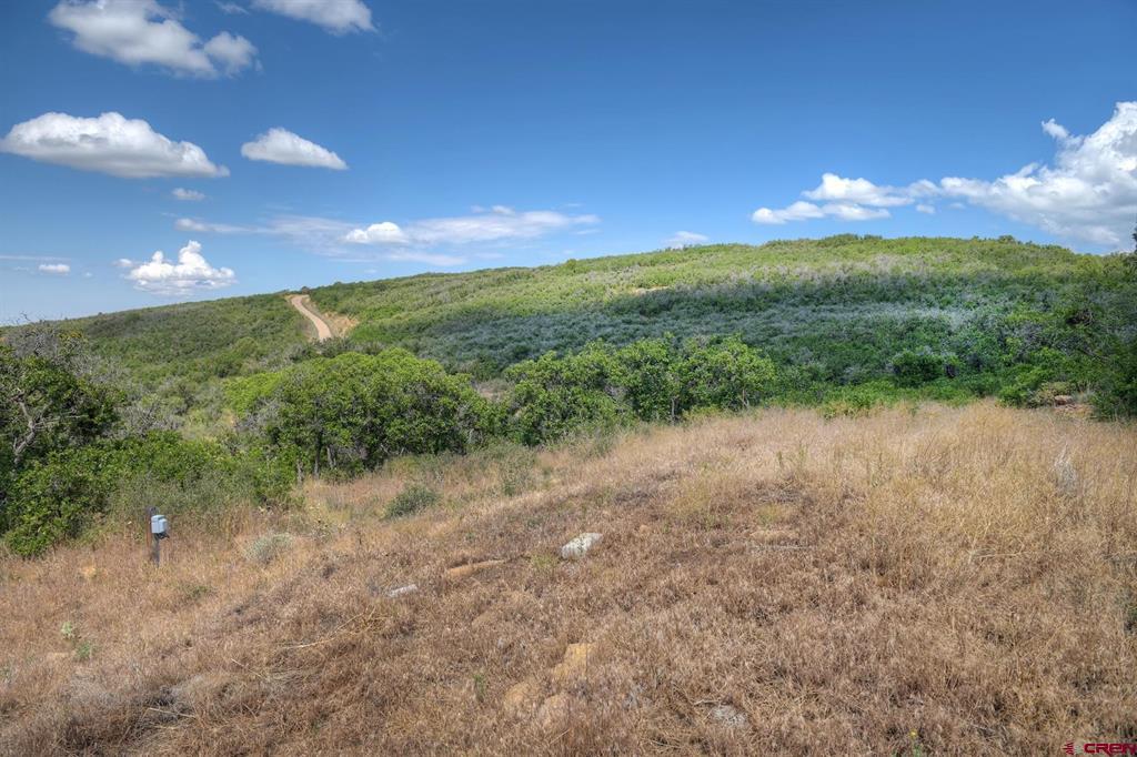 Tbd Cross Creek Road Hesperus CO 81326