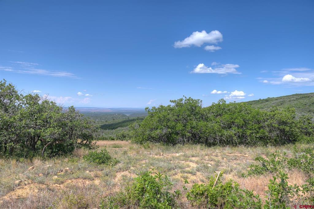Tbd Cross Creek Road Hesperus CO 81326