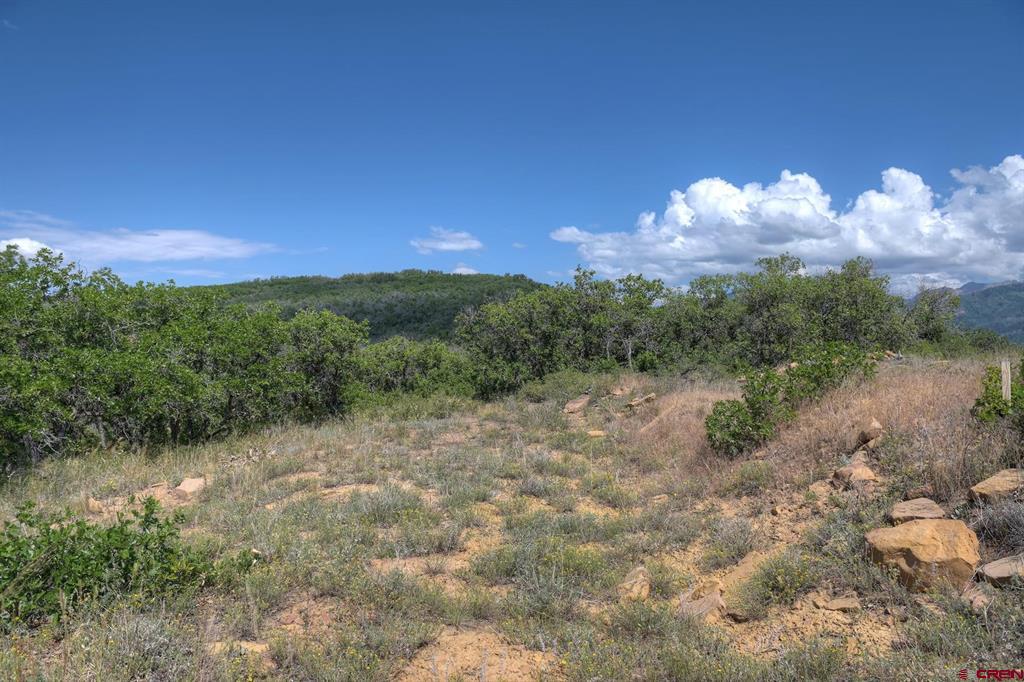 Tbd Cross Creek Road Hesperus CO 81326