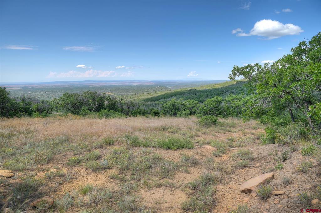 Tbd Cross Creek Road Hesperus CO 81326