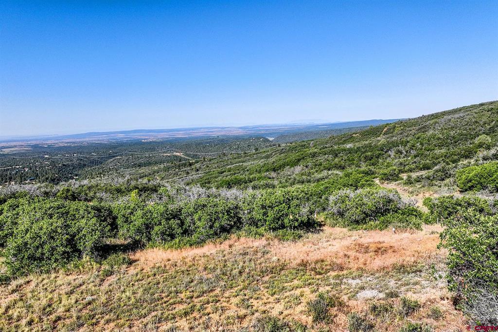 Tbd Cross Creek Road Hesperus CO 81326