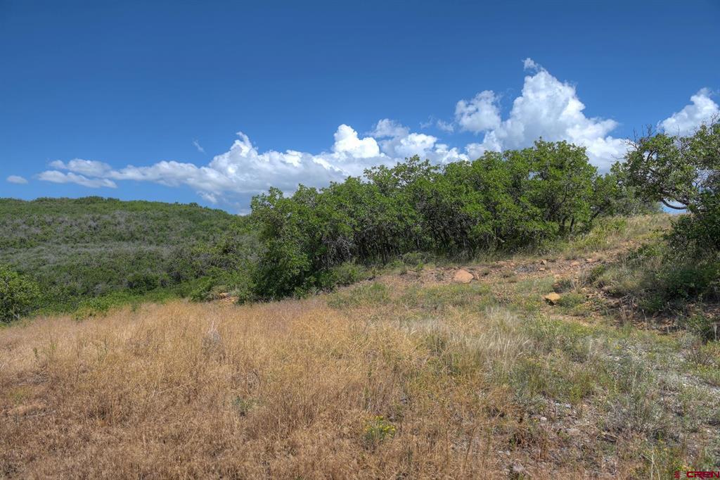 Tbd Cross Creek Road Hesperus CO 81326