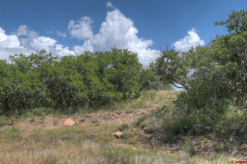 Tbd Cross Creek Road Hesperus CO 81326
