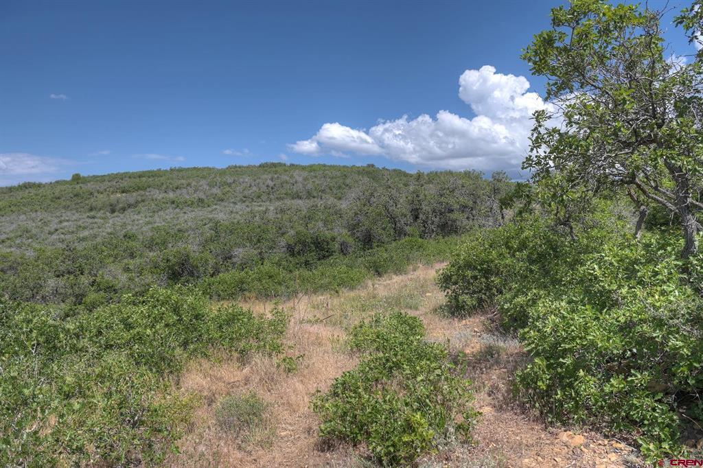 Tbd Cross Creek Road Hesperus CO 81326