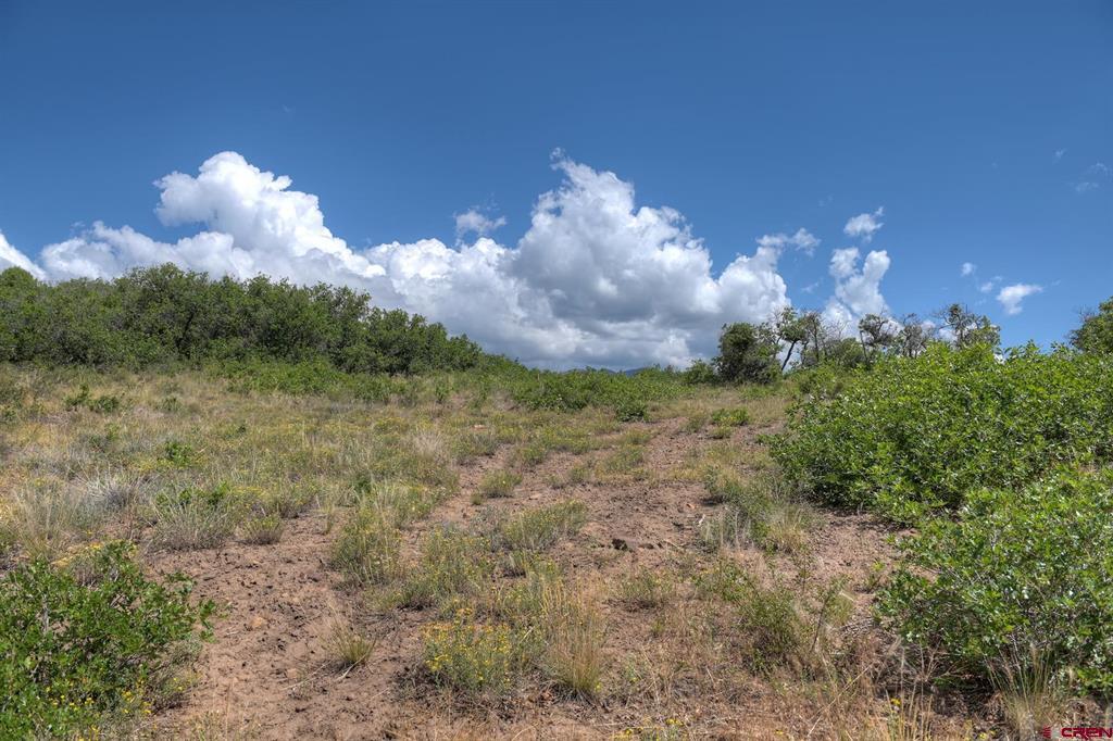 Tbd Cross Creek Road Hesperus CO 81326