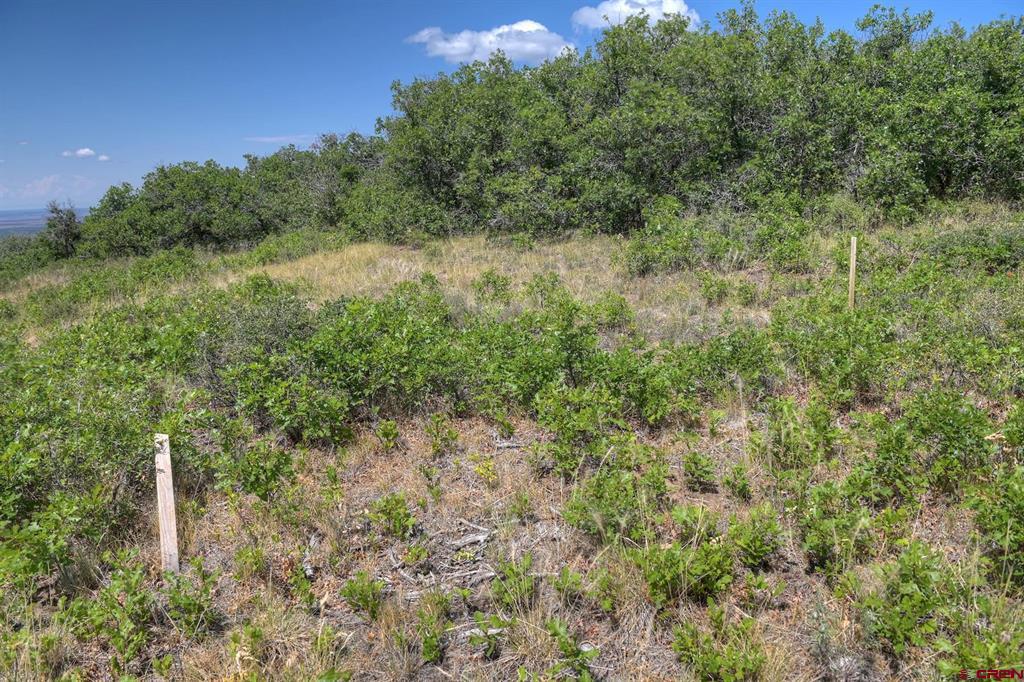 Tbd Cross Creek Road Hesperus CO 81326