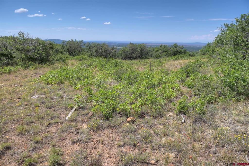 Tbd Cross Creek Road Hesperus CO 81326