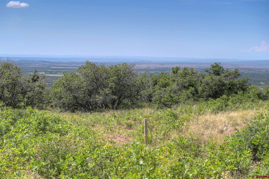 Tbd Cross Creek Road Hesperus CO 81326