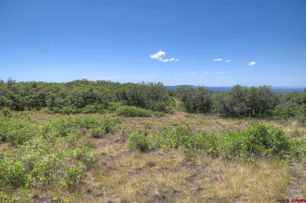 Tbd Cross Creek Road Hesperus CO 81326
