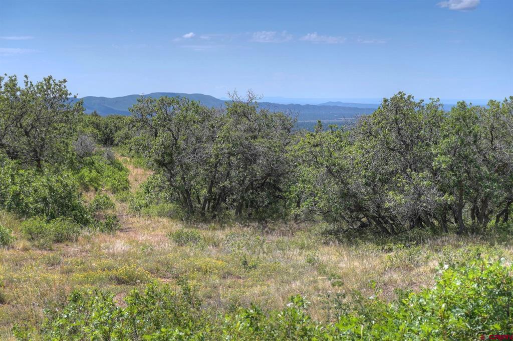 Tbd Cross Creek Road Hesperus CO 81326