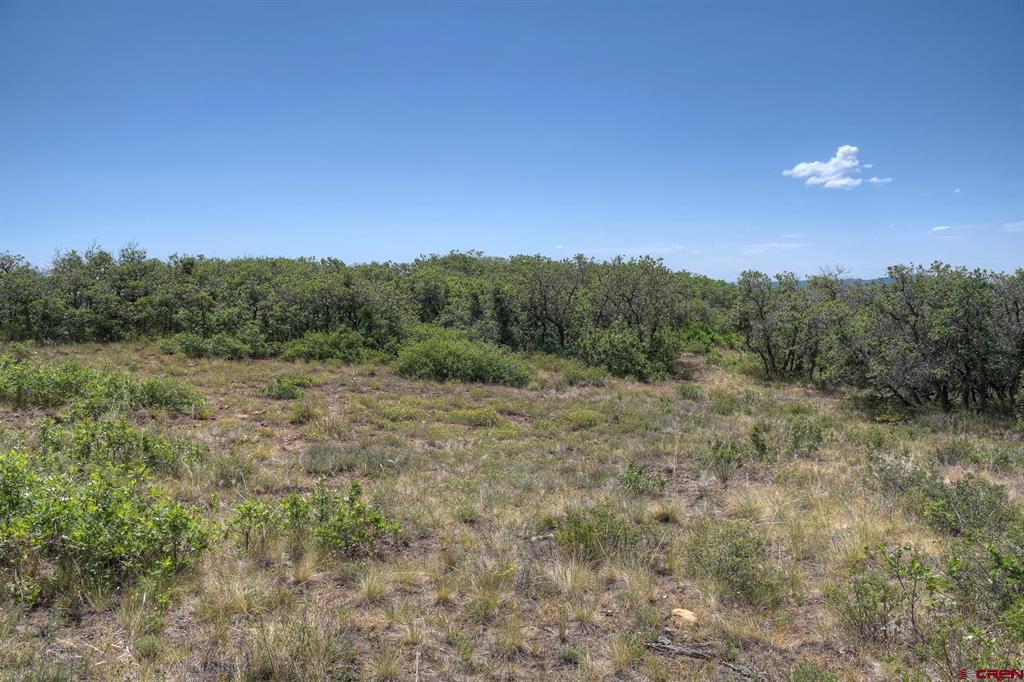 Tbd Cross Creek Road Hesperus CO 81326