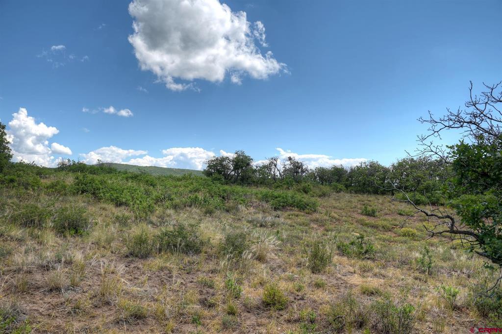 Tbd Cross Creek Road Hesperus CO 81326