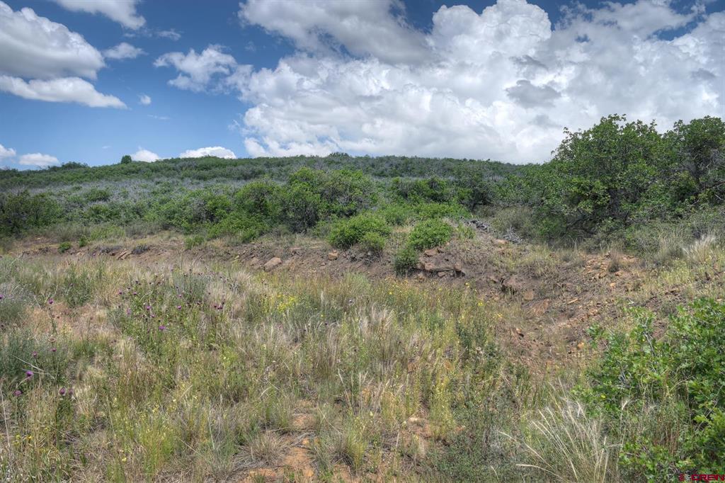 Tbd Cross Creek Road Hesperus CO 81326