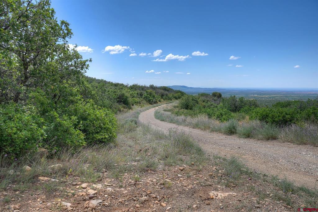 Tbd Cross Creek Road Hesperus CO 81326
