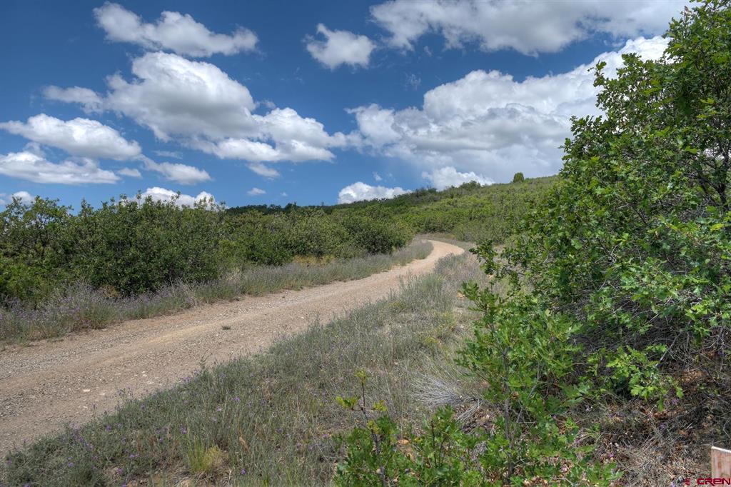Tbd Cross Creek Road Hesperus CO 81326