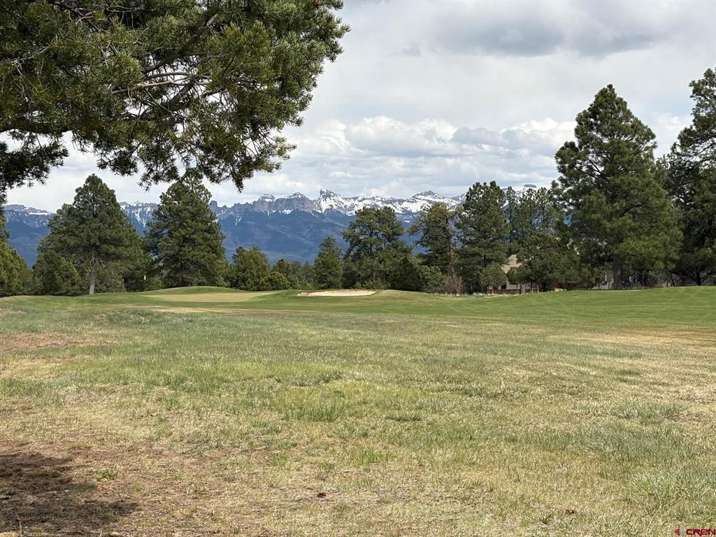1695 Marmot Drive Ridgway CO 81432