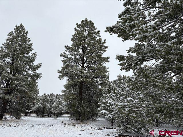 1695 Marmot Drive Ridgway CO 81432