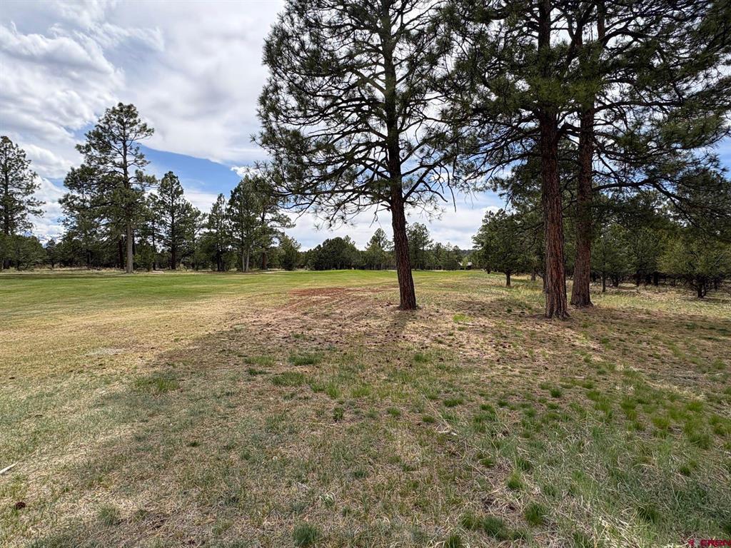 1695 Marmot Drive Ridgway CO 81432