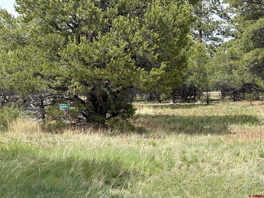 1695 Marmot Drive Ridgway CO 81432
