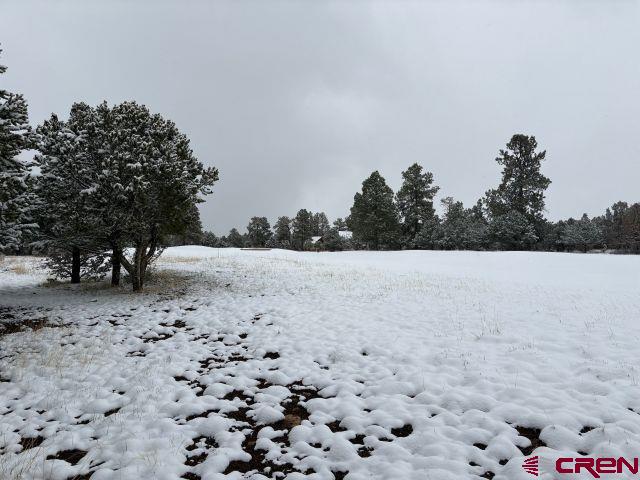 1695 Marmot Drive Ridgway CO 81432