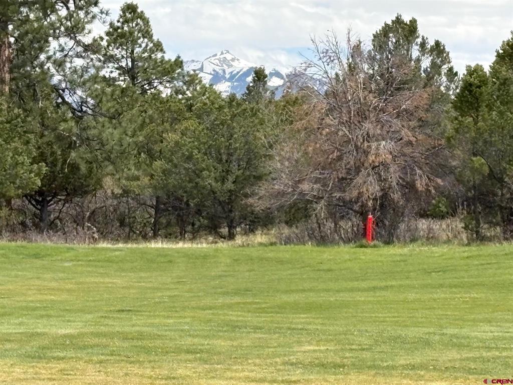 1695 Marmot Drive Ridgway CO 81432