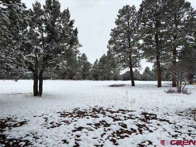 1695 Marmot Drive Ridgway CO 81432