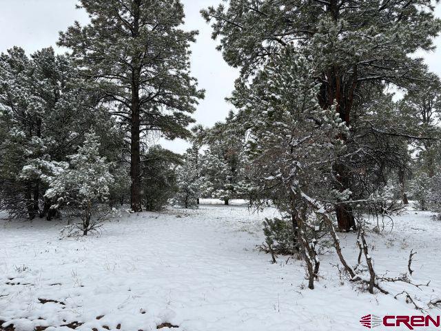 1695 Marmot Drive Ridgway CO 81432